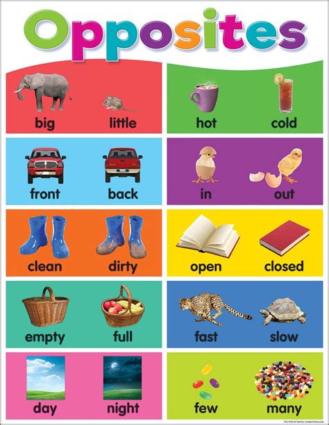 Colorful Opposites Chart | Teacher created resources, Preschool charts, English lessons for kids