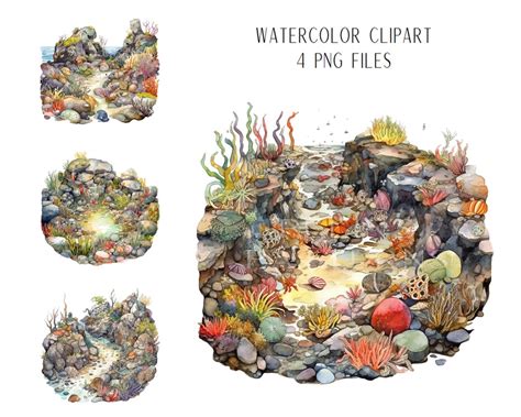 Coastal Tide Pools Watercolor Clipart PNG - Etsy