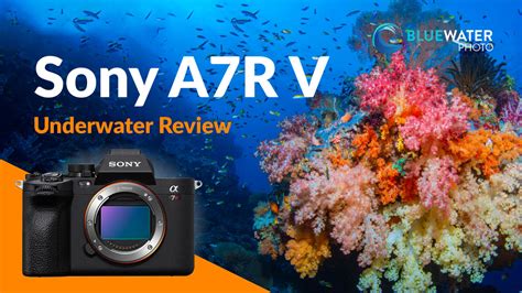 Sony A7R V Review - Underwater Photography Guide