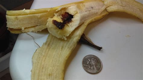 My banana has a hard brown center down the "crack" of the banana. It's crunchy, relatively ...