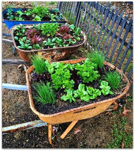 Two Men and a Little Farm: WHEELBARROW GARDEN, INSPIRATION THURSDAY