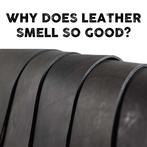 Why does leather smell good? – Obscure Belts