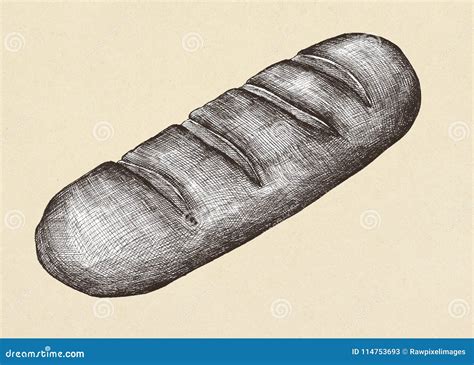 Hand Drawn Baguette French Bread Stock Image - Image of recipe, charcoal: 114753693