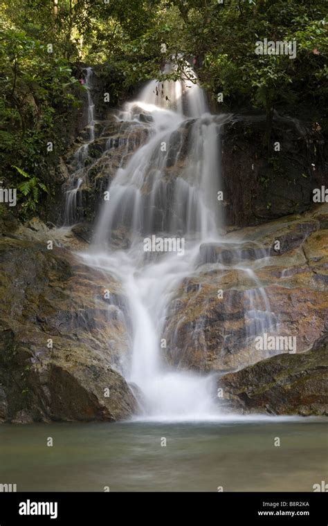 Waterfall at Commonwealth Forest Park, Rawang, Malaysia Stock Photo - Alamy