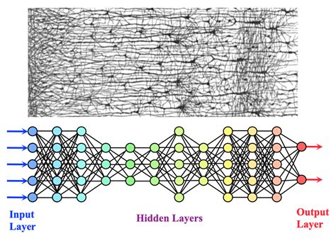 Deep Learning (DL) - Questions and Answers in MRI