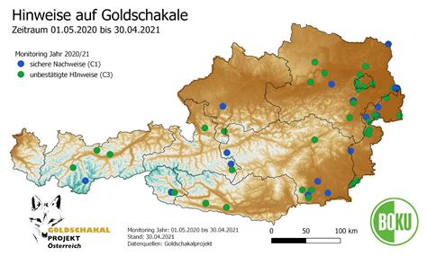 Goldschakal – Verbreitung Österreich – Österreichzentrum