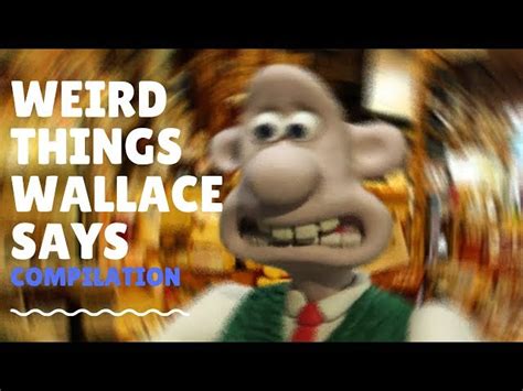 Best wallace and gromit quotes