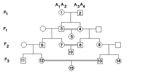 Inbreeding in Pedigrees