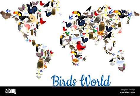 Birds world in shape of world map with continents. Vector flamingo, peacock, sparrow and pigeon ...