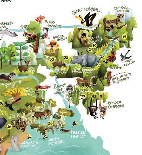 Green Humour: The Wildlife Map of India