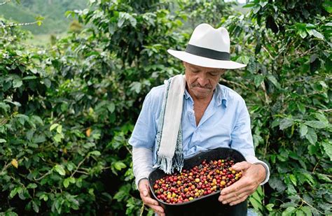 Colombian Coffee