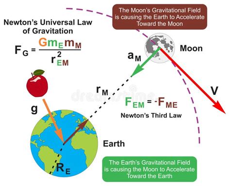 Newton Universal Law of Gravitation Infographic Diagram Physics Science Stock Vector ...