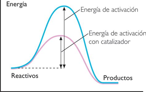 EL FÍSICO LOCO: Catalizadores y sus funciones