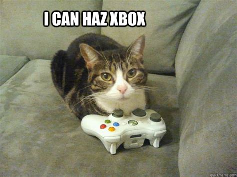 Xbox Funny Xbox 1080X1080 Pictures / Cute Kitten Playing Xbox | Weird animals, Cat posters ...