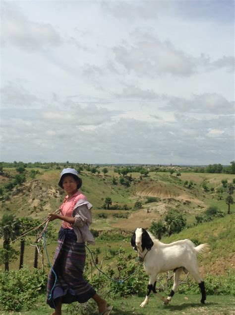 A day in the life at a Burmese village - Janine's Journeys