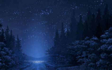 Blue Forest Night HD desktop wallpaper : Widescreen : High Definition : Fullscreen