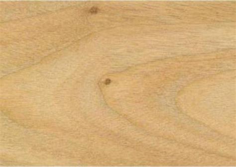 Laurel, Camphor | WoodSolutions