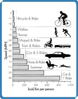 Science of Cycling: Human Power | Exploratorium