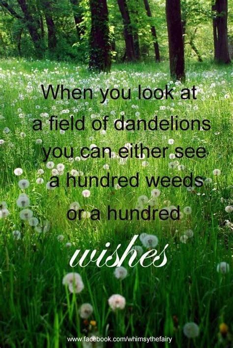 Fields Of Flowers Pictures Quotes. QuotesGram