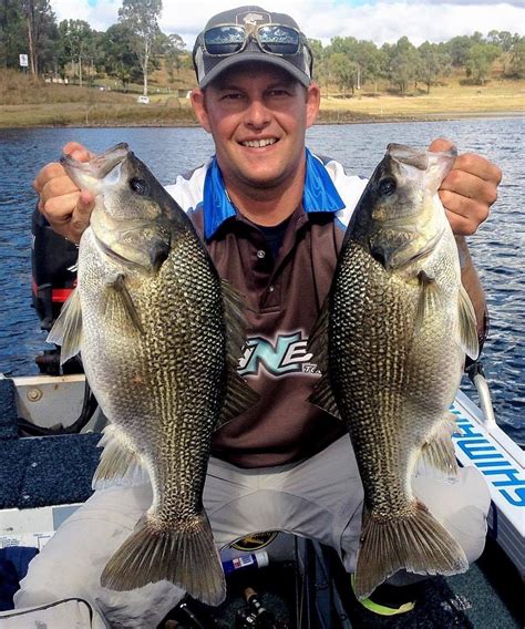 Australian Bass Fingerlings | Hanwood Fish Hatchery