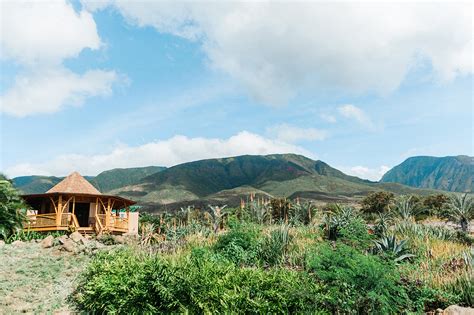 Check out These Three Farms on Maui | Lei Magazine