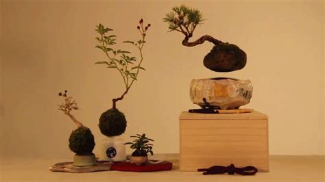 Air Bonsai: Levitating Magnetic Bonsai Trees by Hoshinchu — Colossal