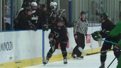 New Sask. hockey league provides alternative route for players not competing in U Sports or NCAA ...