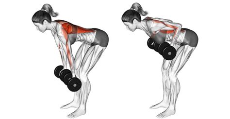 Rear Delt Row: How to Do it, Variations, Benefits, Alternative Exercises