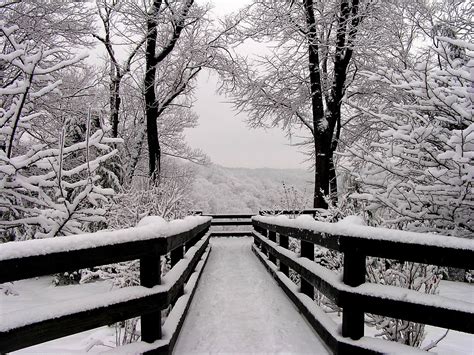 Winter Landscape Photograph 11x14 Black and White Photography