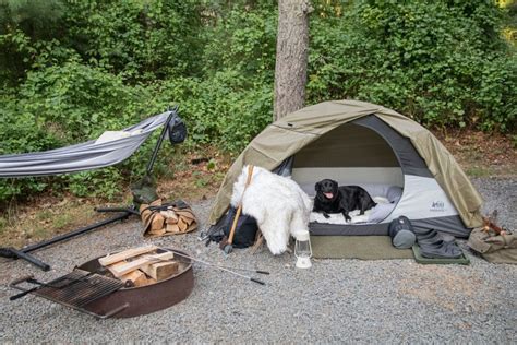 5 Pet-Friendly Campgrounds for Animal Lovers - Campspot Camp Guide