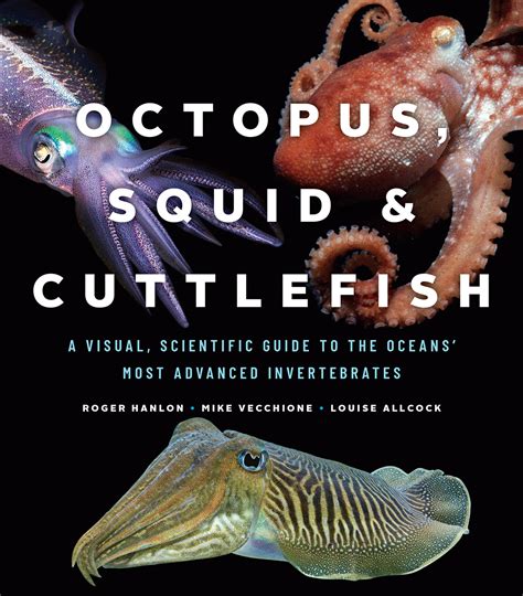 Octopus, Squid, and Cuttlefish: A Visual, Scientific Guide to the ...