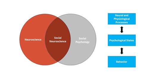 Social Neuroscience | Noba