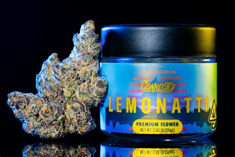 Lemonatti Strain: A Powerful Hybrid with Uncompromised Lemony-Pepper Flavor