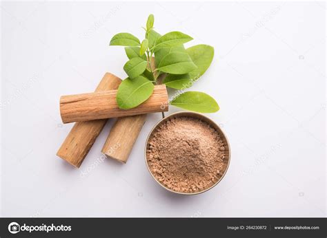 Chandan Sandalwood Powder Sticks Green Leaves — Stock Photo © arundhati ...