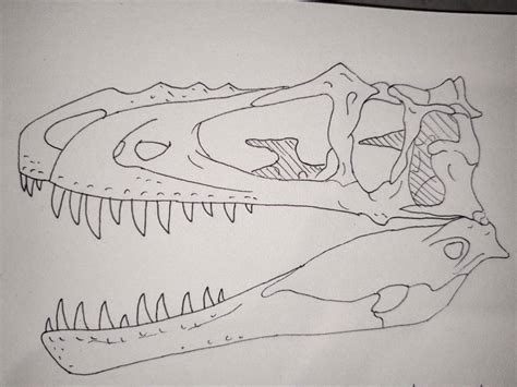 Alioramus skull practise by Spinosaur935 on DeviantArt