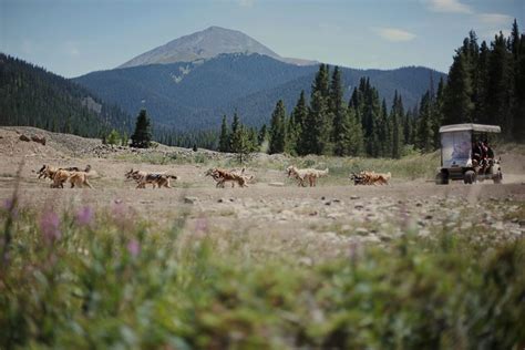 Summer in Breckenridge - Breckenridge, Colorado