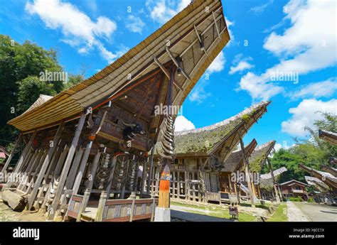 Tongkonan traditional houses in Tana Toraja, Sulawesi, Indonesia Stock ...