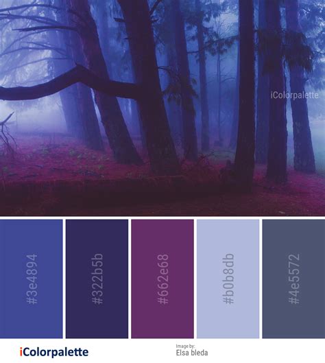 Color Palette Ideas from Nature Forest Purple Image | iColorpalette | Color palette, Color ...