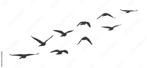 Flock of flying birds. Vector silhouette birds clipart Stock Vector | Adobe Stock