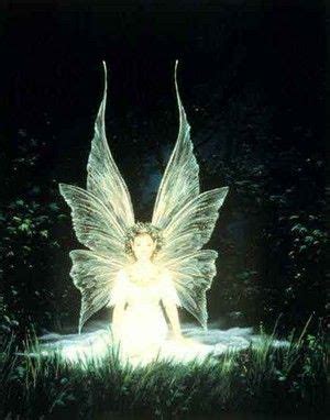 Light Fairy Pictures