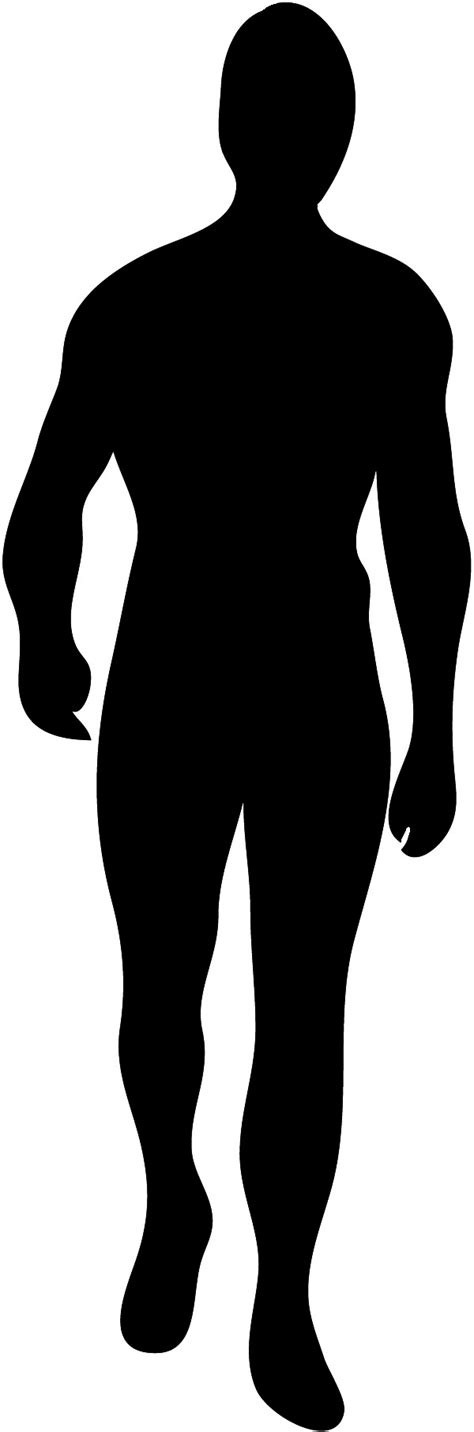 Male Body Silhouette Clip Art Vector Online Royalty Free on ...