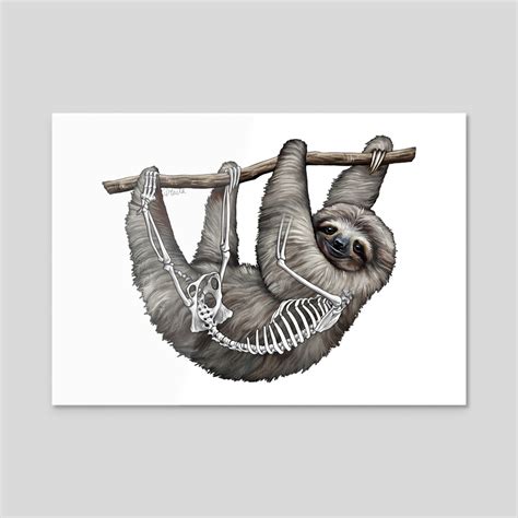 Pygmy Three-toed Sloth Skeleton Anatomy, an art print by Pip Tacla - INPRNT