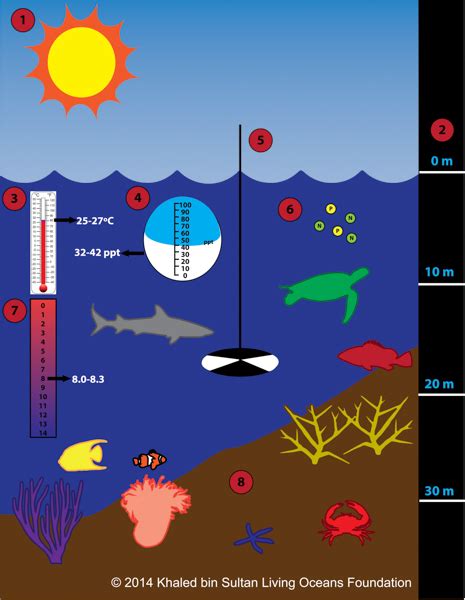 KSLOF Coral Reef Education: Free Environmental Conditions CourseLiving ...