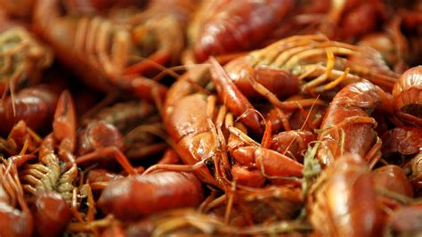 Houston's top 10 crawfish restaurants - ABC13 Houston