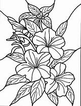 Free Printable Flower Coloring Pages  101 Activity sketch template