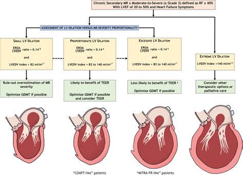 Reappraisal of the Regurgitation Severity vs Left Ventricular Dilation ...