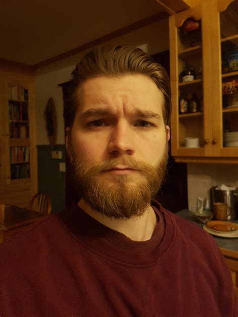 3 Months of Beard Growth! : r/beards