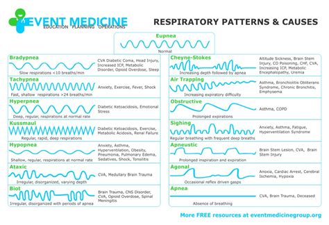 Respiratory Breathing Patterns