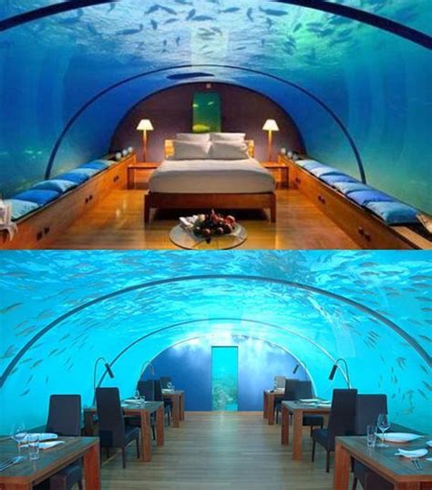 Cool underwater places | Underwater hotel, Hotel, Best hotels