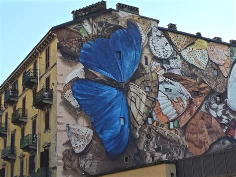 Torino Street Art | JuzaPhoto